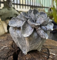 Céramique Céleste - Fleur d'Éclipse Handcrafted Ceramic Planter