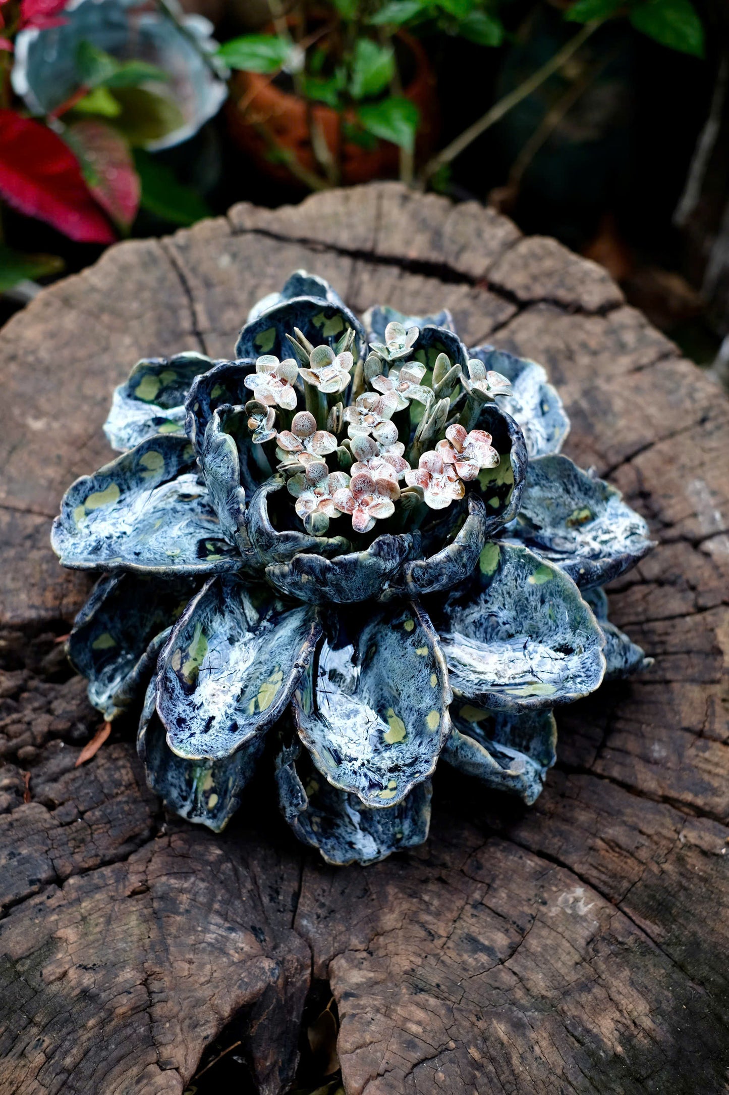 Céramique Céleste - Handcrafted Ceramic Succulent Sculpture