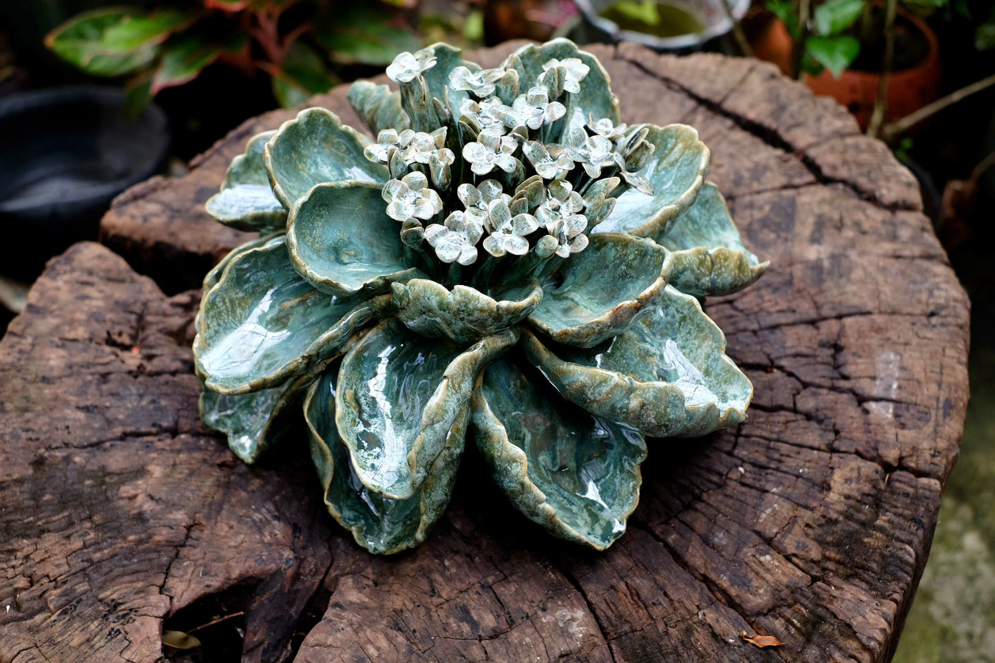 Céramique Céleste - Handcrafted Ceramic Succulent Sculpture